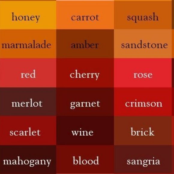 Clothing || Ties & Scarves - Picture 7 of 14